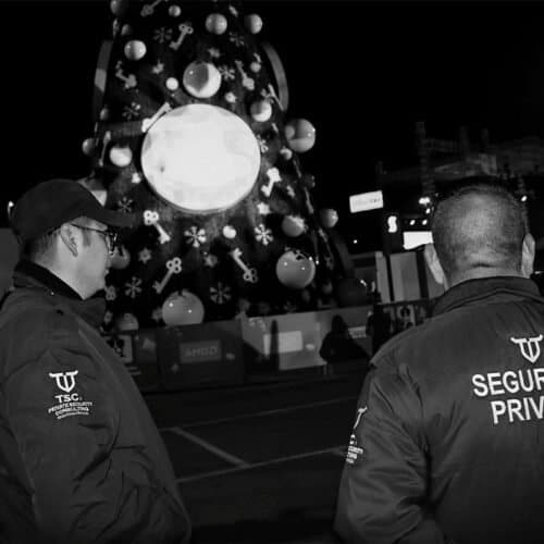 Seguridad para Eventos